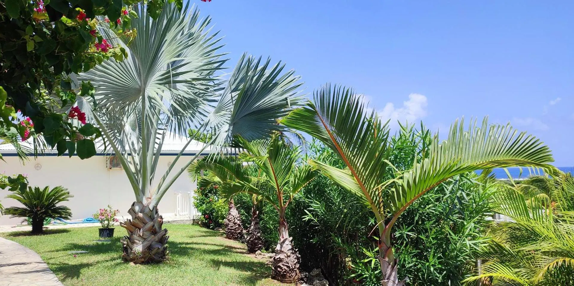 Villa Muscade Guadeloupe, Piscine, Vue Mer Et Acces Plage Saint-Francois